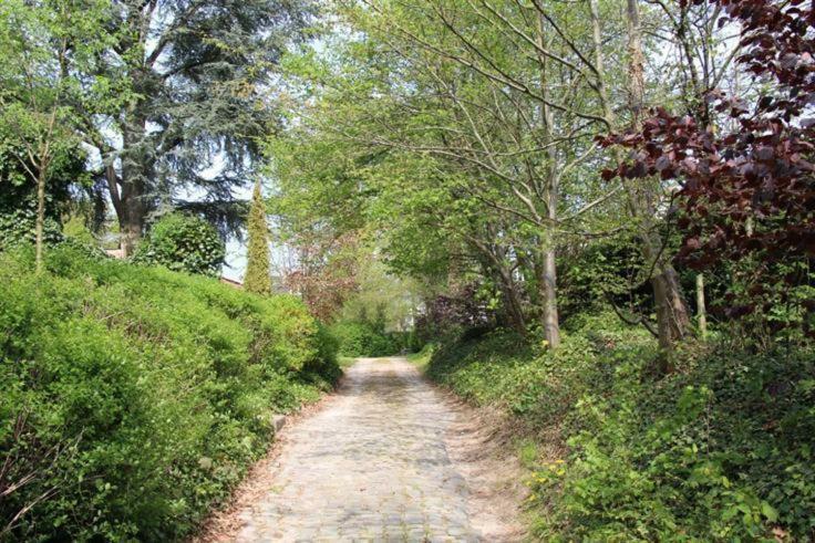 브뤼셀 Casa Terlinden 빌라 외부 사진